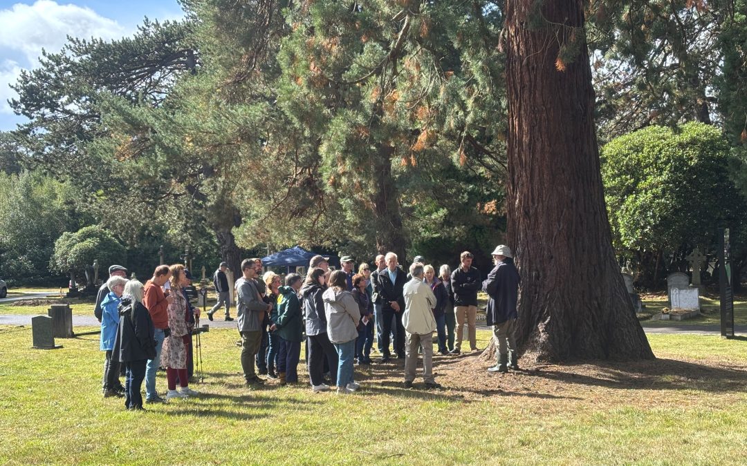 A group of 20 people gathered in the North Cemetery listening to a tour guide.