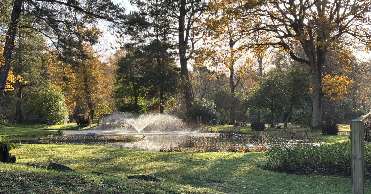 The Glades pond and fountain.