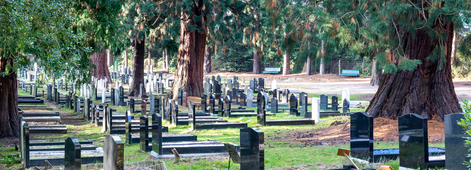 A plot in the North Cemetery
