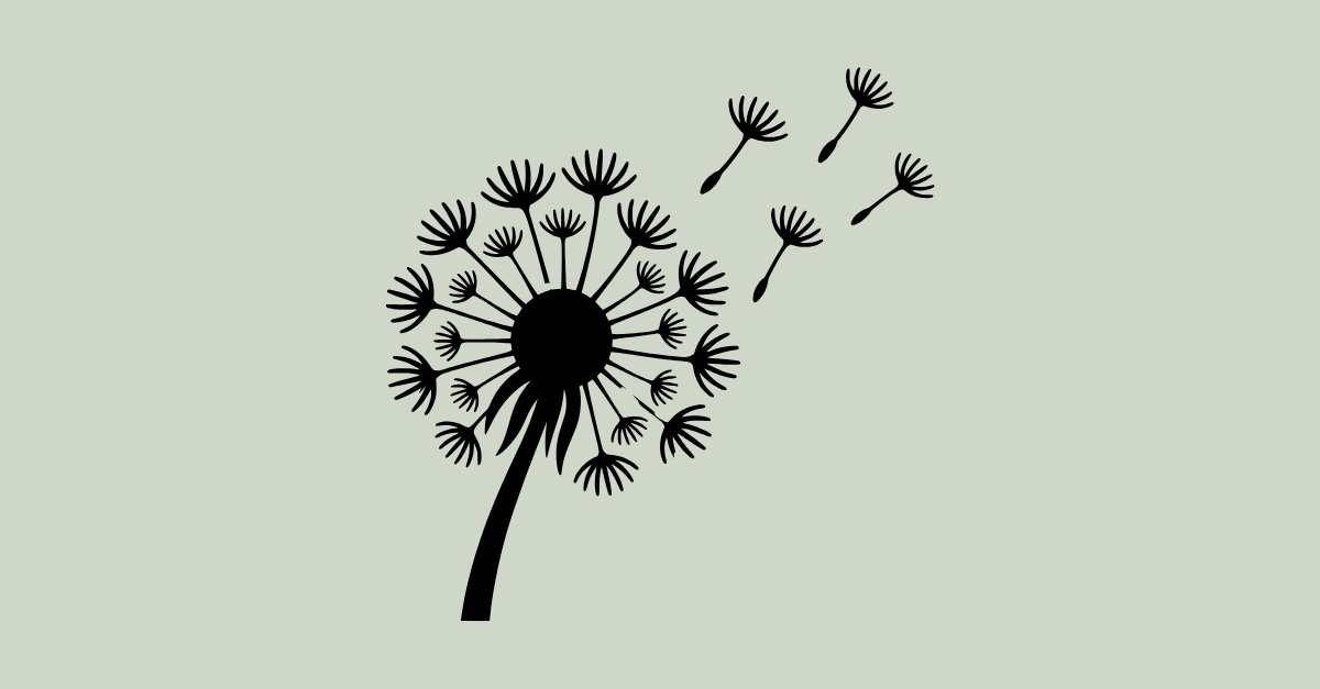 Dandelion seeds blowing in the wind